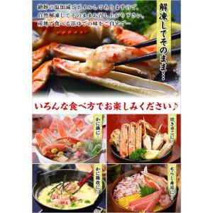 カニ かに 蟹 ズワイガニ カニ足 5kg 超...の詳細画像4
