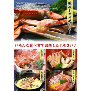 カニ かに 蟹 ズワイガニ カニ足 メガ盛り ...の詳細画像3