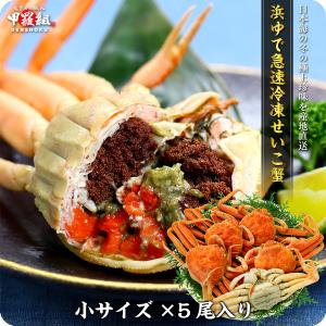 カニ かに 蟹 【浜茹で急速冷凍】越前/松葉 せいこがに（小サイズ×5尾入り）  ※足折れが混じる場合があります FF ポイント利用 爆買