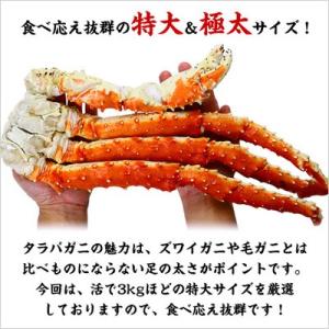 カニ かに タラバガニ 蟹 たらばがに 特大 ...の詳細画像1
