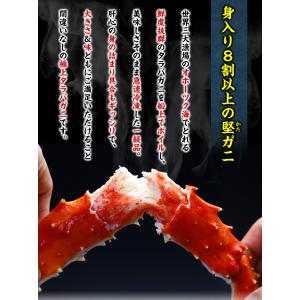 カニ かに タラバガニ 蟹 たらばがに 特大 ...の詳細画像3