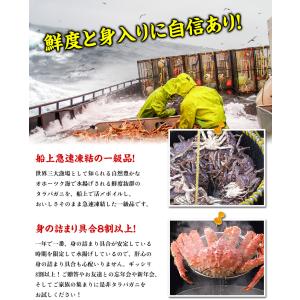 カニ かに タラバガニ 蟹 たらばがに 特大 ...の詳細画像5