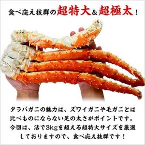 食べ応え抜群の 希少な 超特大 & 超極太 た...の詳細画像1