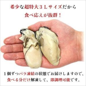【入荷次第発送】牡蠣 かき カキ 広島 化粧箱...の詳細画像2