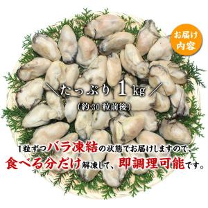 牡蠣 カキ 鍋 特大 1kg 冷凍 剥き身 広...の詳細画像1