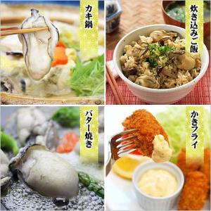 牡蠣 カキ 鍋 特大 1kg 冷凍 剥き身 広...の詳細画像3