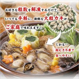 牡蠣 カキ 鍋 特大 1kg 冷凍 剥き身 広...の詳細画像5