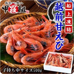 越前甘えび500g 訳あり子無し小サイズ(約40〜50尾)|...