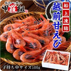 エビ 甘エビ 海老 越前 甘えび（子持ち大サイズ）500g以上 約30尾入 あまえび アマエビ