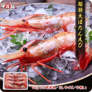 希少な超特大サイズを厳選  ぼたんえび1kg（約15尾前後/3Lサイズ/子無し）