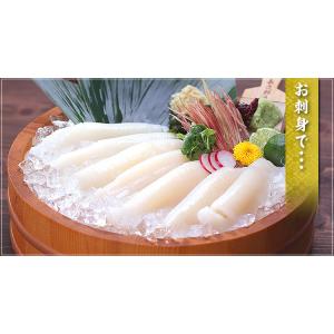 イカ いか 刺身 いかそうめん 国産スルメイカ...の詳細画像5