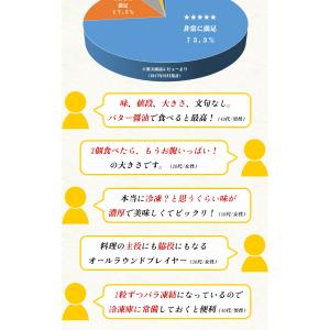 ホタテ 帆立 ボイルほたて 特大サイズ 北海道...の詳細画像3