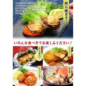 ホタテ 帆立 ボイルほたて 特大サイズ 北海道...の詳細画像5