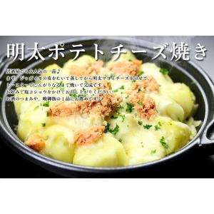 明太子 辛子明太子 博多 あごおとし 500g...の詳細画像5