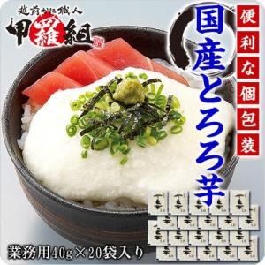 便利な個包装＆冷凍保存OK！のど越しが癖になる♪国産とろろ芋（無添加）40g×20袋入 やま芋 長芋