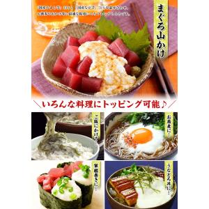 便利な個包装&冷凍保存OK!のど越しが癖になる...の詳細画像1