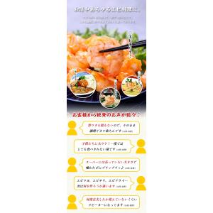 えび エビ 海老 希少な 特大 むきえび 1k...の詳細画像2