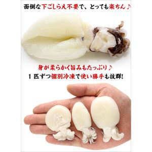 イカ いか 下ごしらえ不要の【業務用】ゲソ付き...の詳細画像1