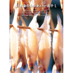カレイ かれい 訳あり 甘みのある柔らかな身と...の詳細画像3