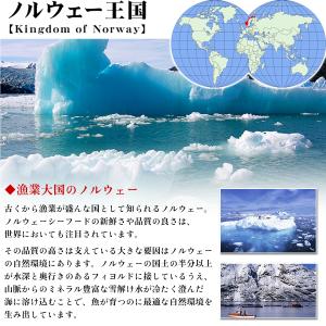 【訳あり】アトランティックサーモン ハラス 切...の詳細画像2