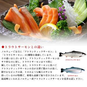 【訳あり】アトランティックサーモン ハラス 切...の詳細画像3