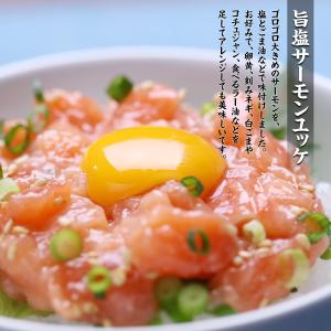 三種のサーモン海鮮丼セット(3種×各2食) サ...の詳細画像3