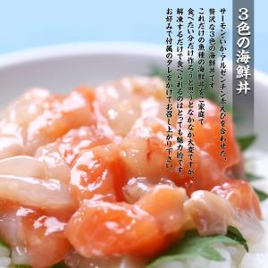三種のサーモン海鮮丼セット(3種×各2食) サ...の詳細画像4