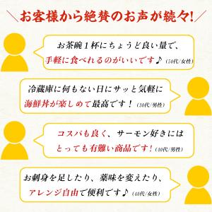サーモンいくら丼(2食入×2パック) サーモン...の詳細画像3