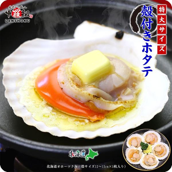 海鮮BBQにもってこい♪天然殻付き生ほたて特大サイズ（殻幅12〜13cm）×5枚入り 帆立 ほたて ...