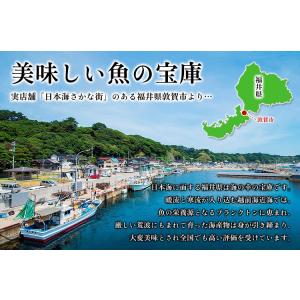 干物8種 ギフト のどぐろ 金目鯛 はたはた ...の詳細画像1