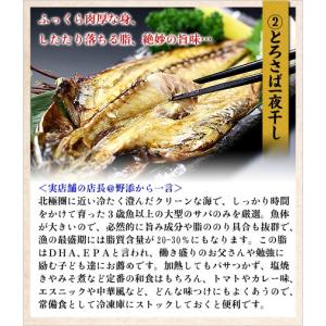 干物 のどぐろ 縞ほっけ とろさば 真いか は...の詳細画像3