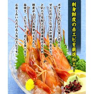 えび エビ 海老 お刺身でも食べれる高鮮度!天...の詳細画像1
