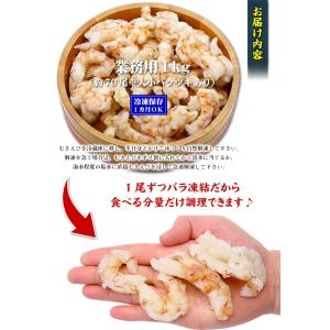 えび エビ 海老 お刺身でも食べれる高鮮度!天...の詳細画像2