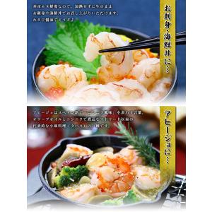 えび エビ 海老 お刺身でも食べれる高鮮度!天...の詳細画像3