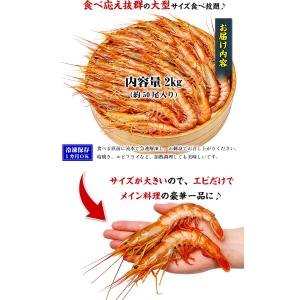 赤えび 業務用 2kg(50尾前後入り)赤エビ...の詳細画像1