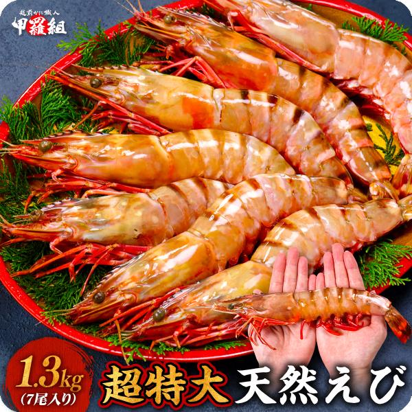超特大 天然有頭えび シータイガー 業務用 1.3kg 7尾（1尾185g前後/約28cm）えび 海...
