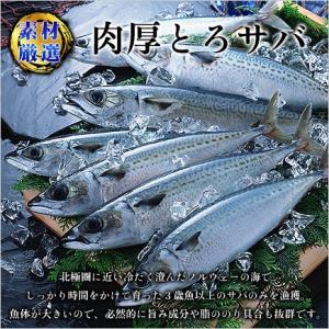 干物 鯖 トロさば とろサバ 開き 肉厚 大型...の詳細画像4