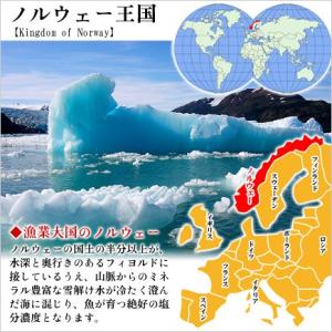 干物 鯖 トロさば とろサバ 開き 肉厚 大型...の詳細画像5