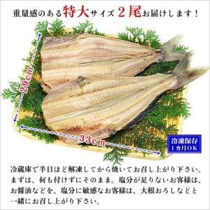 干物 ホッケ ほっけ 縞ホッケ 一夜干し 特大...の詳細画像1