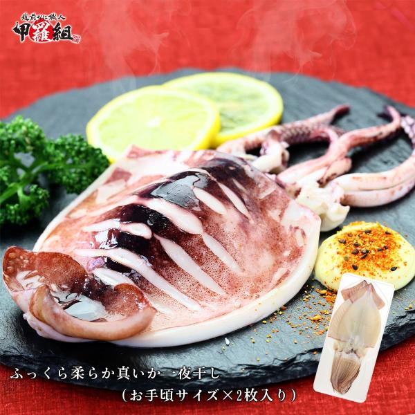 イカ いか おつまみ 真イカ 一夜干し （小サイズ×2枚入り） 時短5分 烏賊 ギフト 贈り物 誕生...