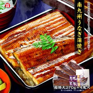国産 超特大 うなぎ 270g×4尾 鰻 ウナギ...の商品画像