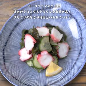 たこ ボイル真ダコ200g モーリタニア産 真...の詳細画像2