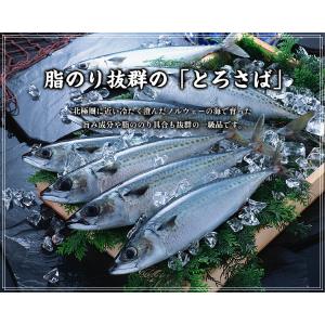 【塩さばフィーレのみ4/1以降発送】骨取り ト...の詳細画像2