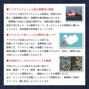 子持ち 干しししゃも 500g アイスランド産...の詳細画像3