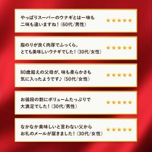うなぎ 鰻 国産 ウナギ 南九州のブランドうな...の詳細画像2