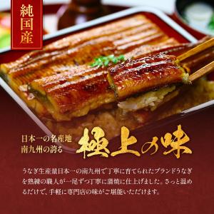 うなぎ 鰻 国産 ウナギ 南九州のブランドうな...の詳細画像3