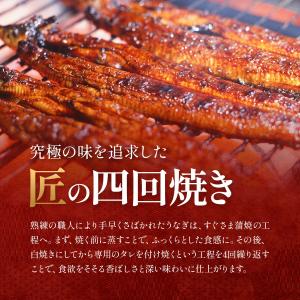 うなぎ 鰻 国産 ウナギ 南九州のブランドうな...の詳細画像5
