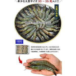 えび 海老 殻のまま丸ごと食べる新食感 ソフト...の詳細画像1