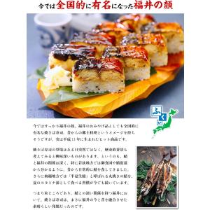 福井名物 焼さば寿司 ×3本(8貫/カット済み...の詳細画像3