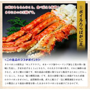 カニ かに 蟹 豪華 三大蟹セット (ずわい蟹...の詳細画像2